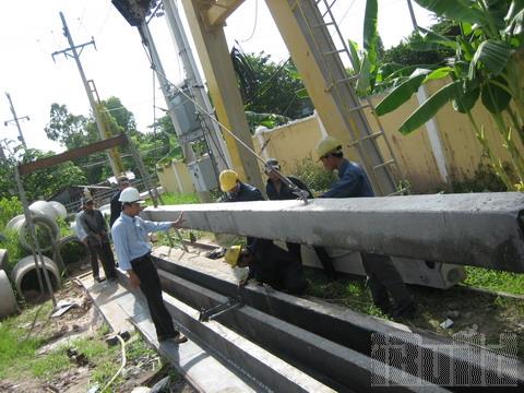 Cọc Bê tông DT1