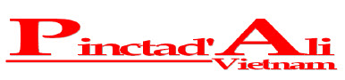 Công ty PINCTADALI Việt Nam