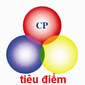 Công ty TNHH SX-DV-TM Tiêu Điểm