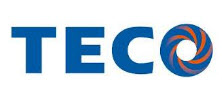 Động Cơ TECO