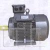 MOTOR TECO 3PHA 380V chân đế