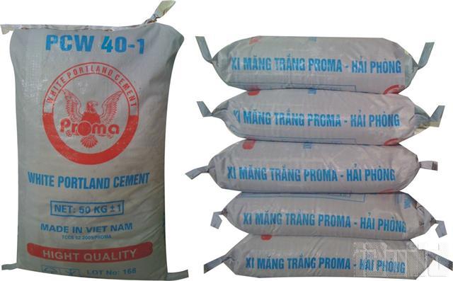 Xi măng trắng PROMA