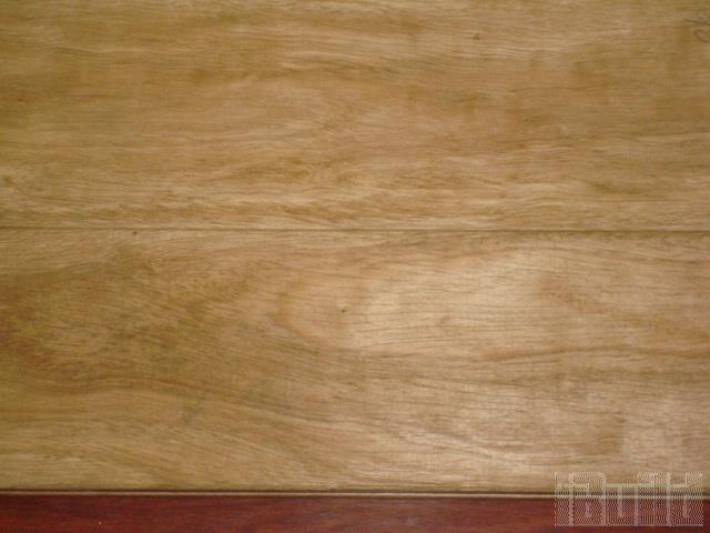 Sồi Vân Nam Sồi Trắng châu âu