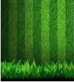 Công ty Cổ phần xây dựng IMPER Việt Nam