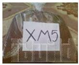 Bảo vệ gỗ - XM5