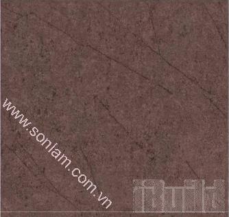 Gạch lát Taicera 60x60