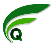Công ty Cổ phần RONG NET VIET NAM
