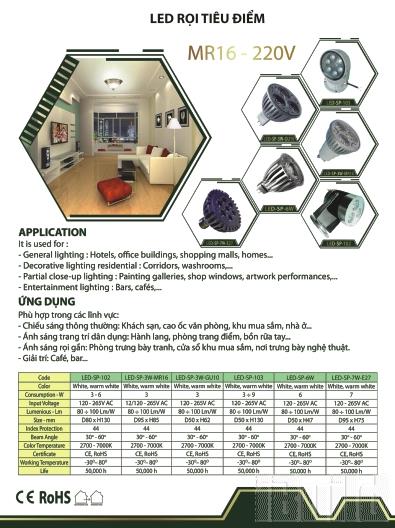 LED TIÊU ĐIỂM