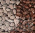 Coffee Brown