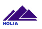 Công ty Cổ phần tự động hóa Hoàng Liên (HOLIA)