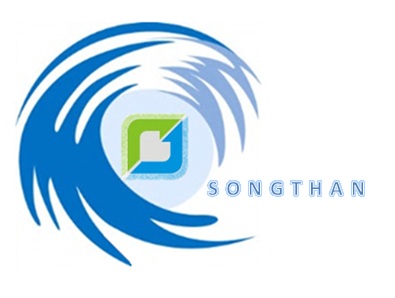 Công ty TNHH TM DV XD Sóng Thần